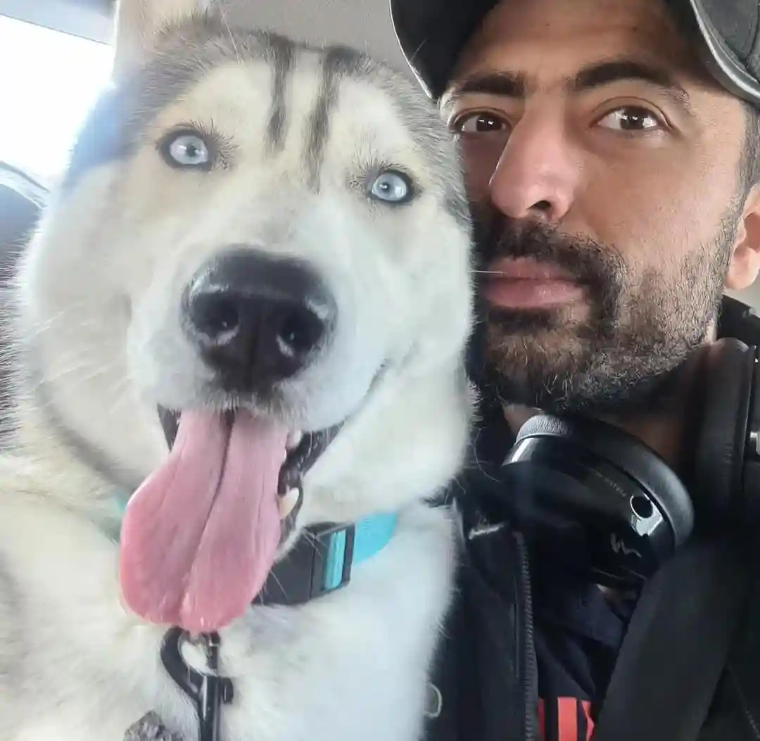 A happy husky with striking blue eyes and a big smile, sitting in the car, wearing a blue collar.